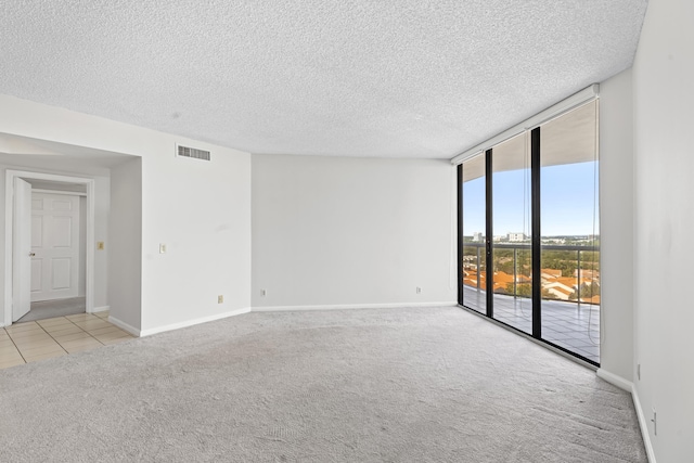 carpeted spare room with expansive windows and a textured ceiling