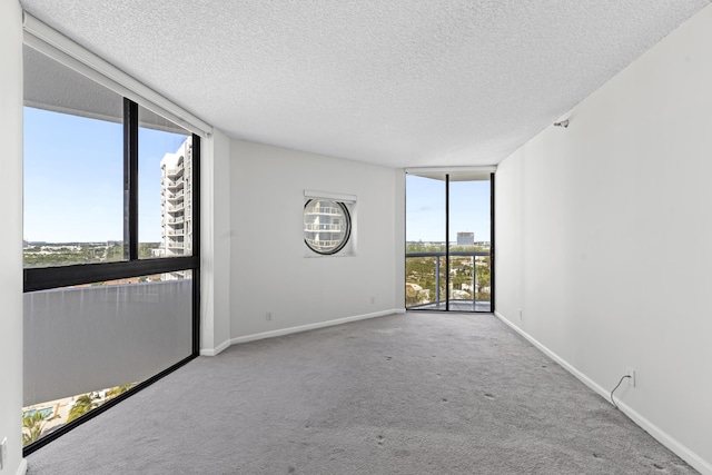 unfurnished room featuring expansive windows, light colored carpet, and a textured ceiling