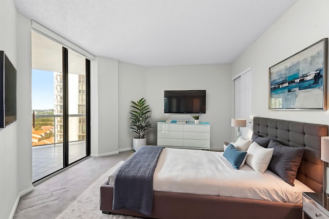 carpeted bedroom featuring access to exterior and a closet