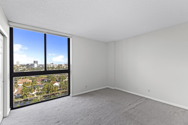 spare room featuring carpet, a healthy amount of sunlight, a textured ceiling, and a wall of windows