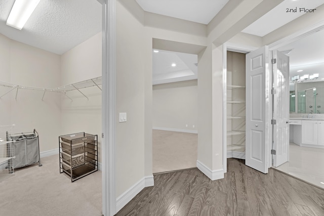 walk in closet with sink and light wood-type flooring