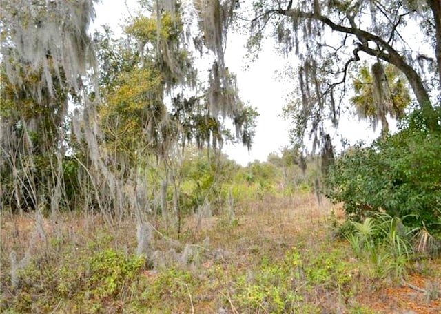 1955 Calle Huescha, Deland FL, 32720 land for sale