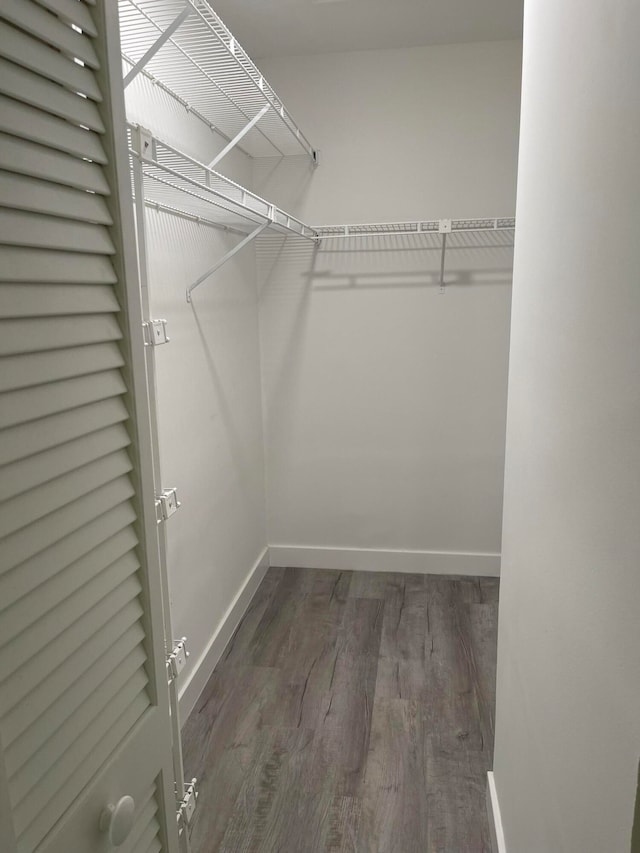 walk in closet with dark hardwood / wood-style floors