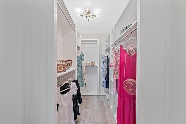 spacious closet with light hardwood / wood-style flooring