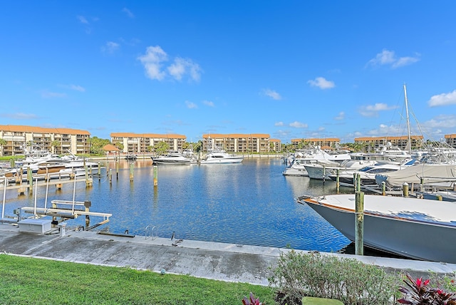 dock area with a water view