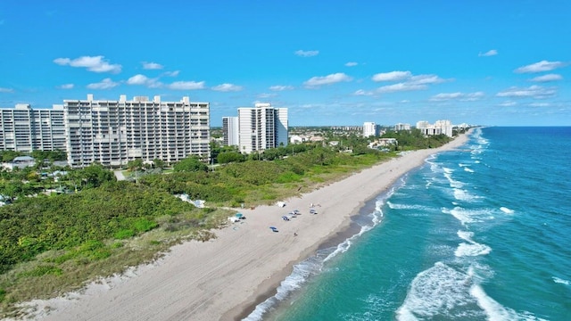 drone / aerial view with a water view and a view of the beach