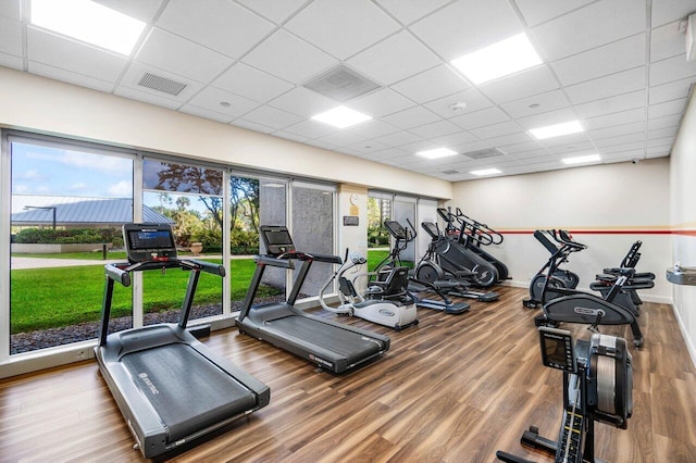 workout area with a paneled ceiling and hardwood / wood-style flooring