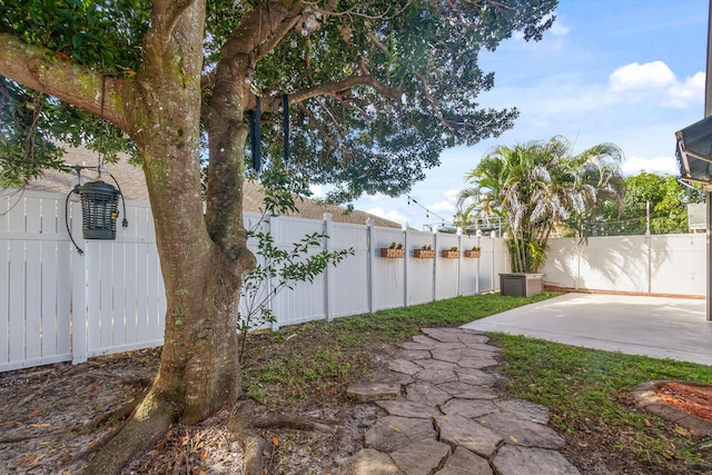 view of yard with a patio area