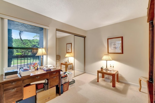 office with light carpet and a textured ceiling