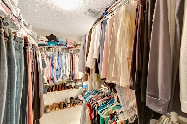 view of spacious closet