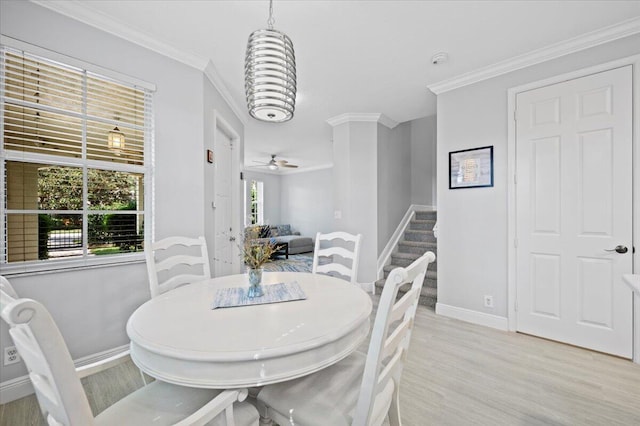 dining space with light wood-type flooring, ceiling fan, and crown molding