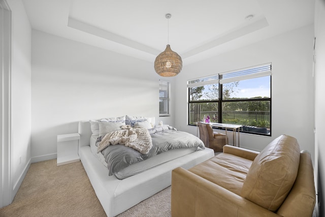 carpeted bedroom with a tray ceiling