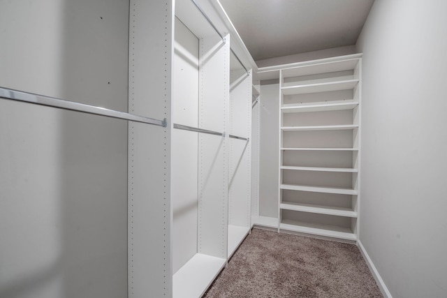 spacious closet with carpet floors