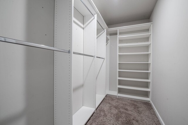 6341 Topsail Dr, West Palm Beach, FL 33413 - spacious closet with carpet flooring