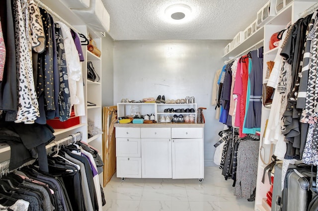 view of walk in closet