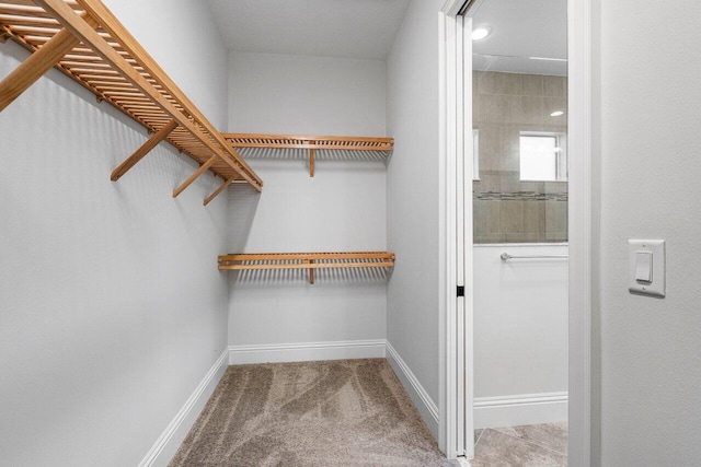 walk in closet with carpet flooring