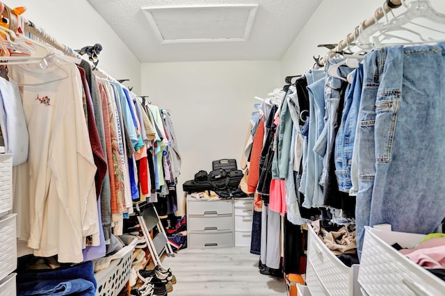 spacious closet featuring light wood-type flooring