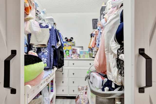 spacious closet featuring hardwood / wood-style floors