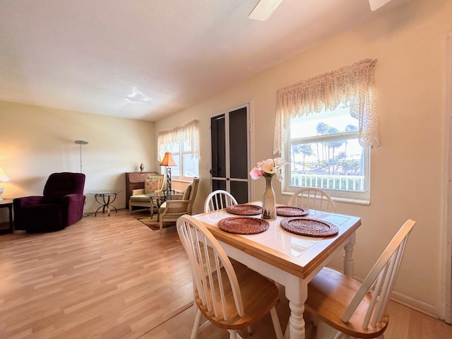 dining room with light hardwood / wood-style flooring