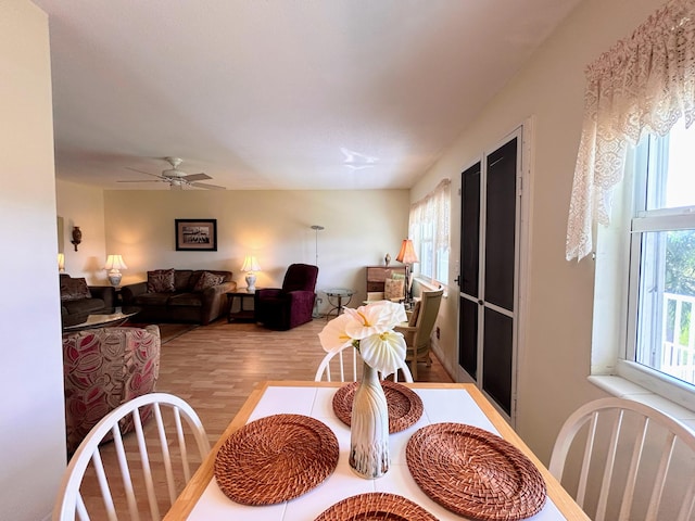 dining area featuring light hardwood / wood-style floors and ceiling fan