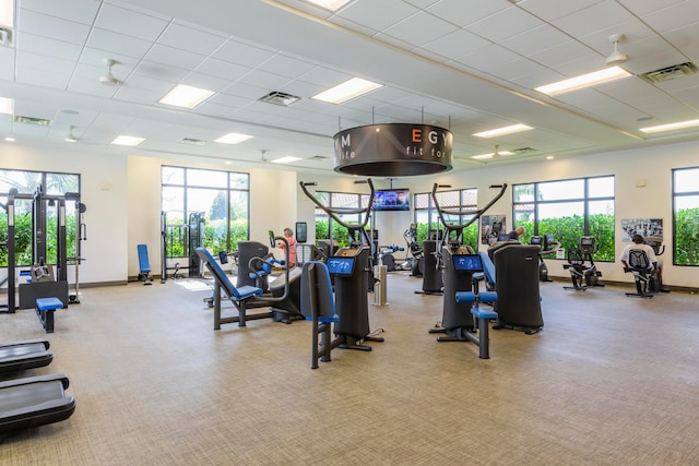 gym featuring a paneled ceiling, plenty of natural light, and light colored carpet