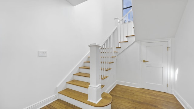 stairway featuring wood-type flooring