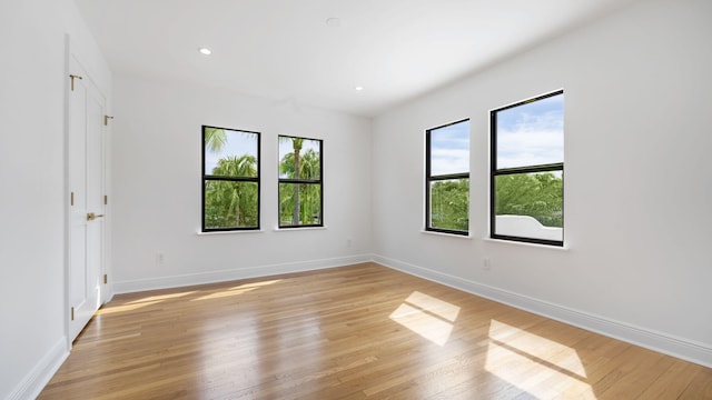 spare room with plenty of natural light and light hardwood / wood-style flooring