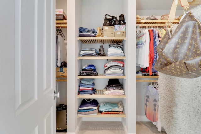 spacious closet featuring carpet