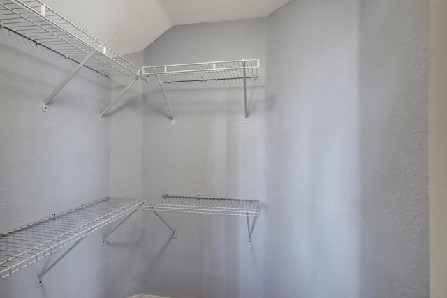 spacious closet with vaulted ceiling