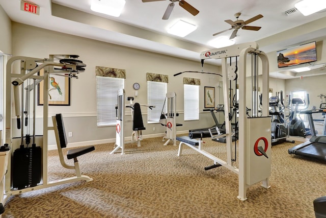 workout area featuring ceiling fan and carpet