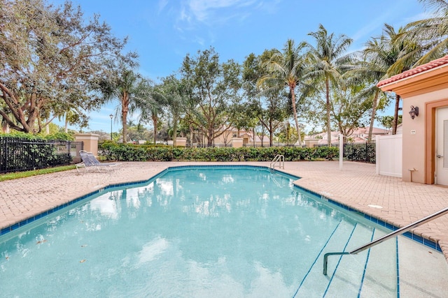 view of swimming pool with a patio