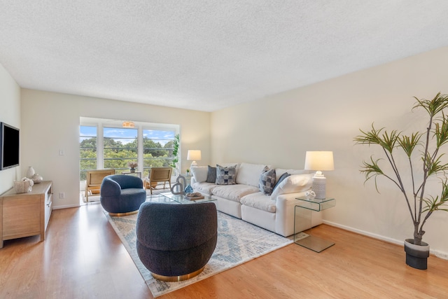 living room featuring baseboards, a textured ceiling, and wood finished floors