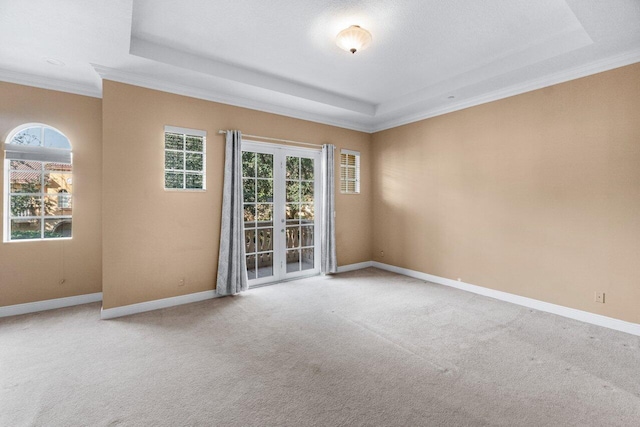 carpeted spare room featuring a raised ceiling and ornamental molding