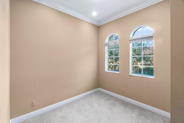 carpeted empty room with crown molding