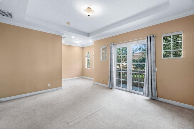 spare room featuring light colored carpet, a raised ceiling, and ornamental molding