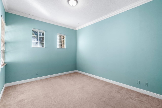 empty room featuring a textured ceiling, light carpet, and crown molding