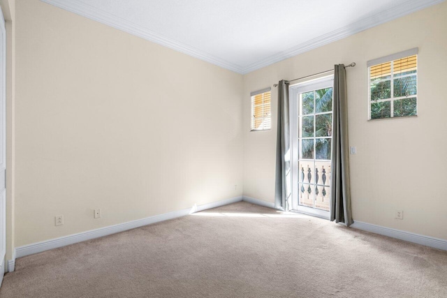 carpeted empty room featuring crown molding