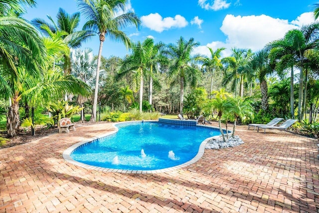 view of pool with a patio