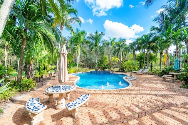 view of pool featuring a patio and pool water feature