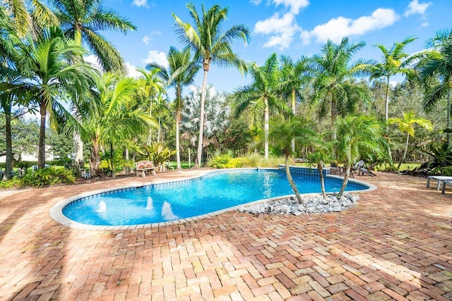 view of swimming pool with a patio area