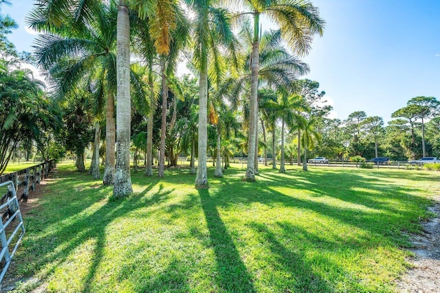 view of yard