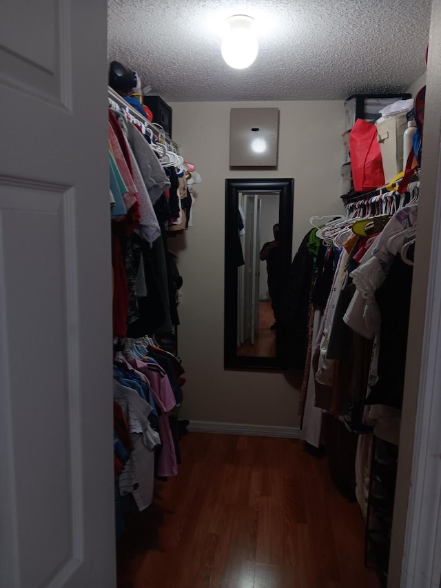 spacious closet with wood-type flooring