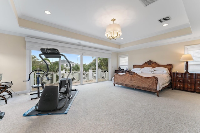 carpeted bedroom with access to exterior, a tray ceiling, and multiple windows