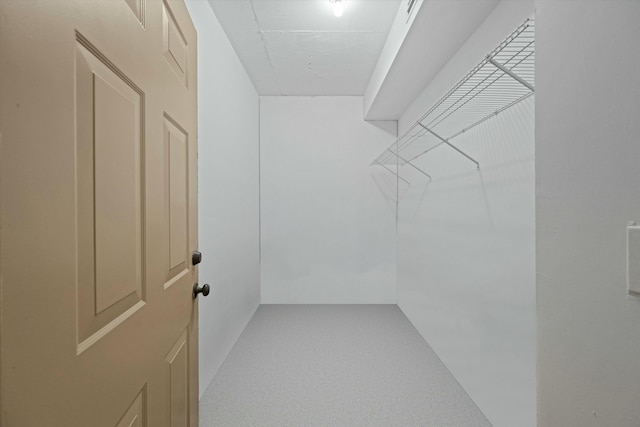 spacious closet with carpet flooring