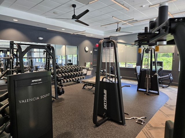 workout area with a paneled ceiling, ceiling fan, and carpet flooring