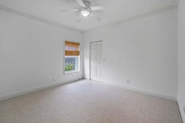 empty room with crown molding and carpet floors