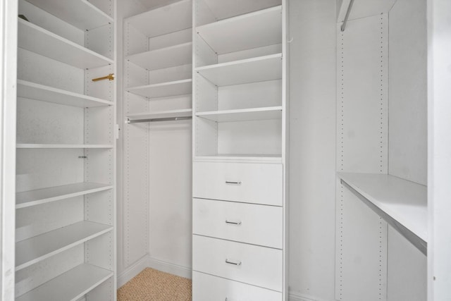 view of spacious closet