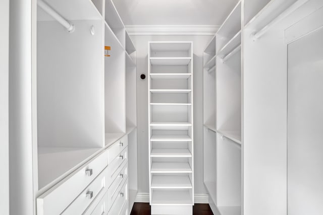 spacious closet with dark wood-type flooring