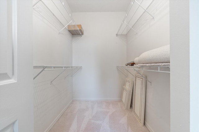 806 E Windward Way Unit 212, Lantana, FL 33462 - walk in closet with carpet