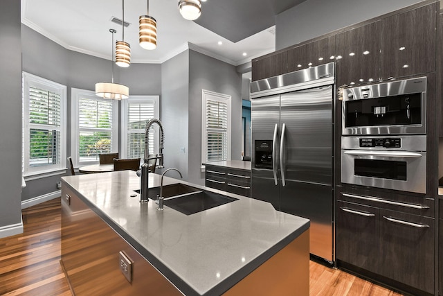 kitchen with pendant lighting, stainless steel appliances, light hardwood / wood-style flooring, and an island with sink